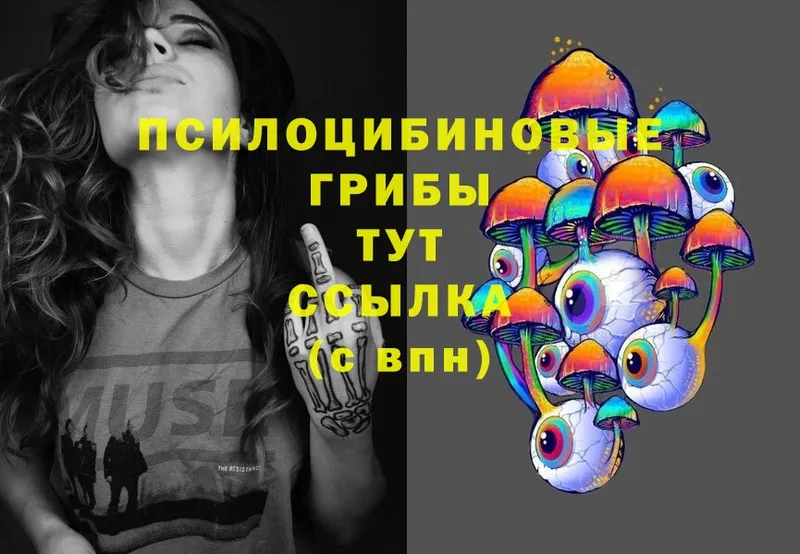 Псилоцибиновые грибы MAGIC MUSHROOMS  Динская 